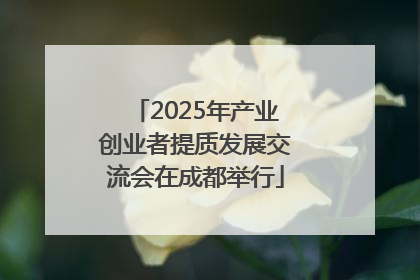2025年产业创业者提质发展交流会在成都举行